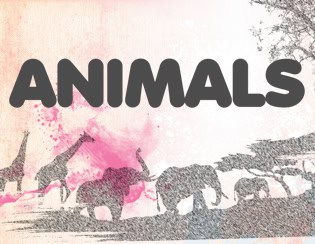 Animals S